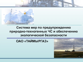Система мер по предупреждению природно-техногенных ЧС и обеспечению экологической безопасности