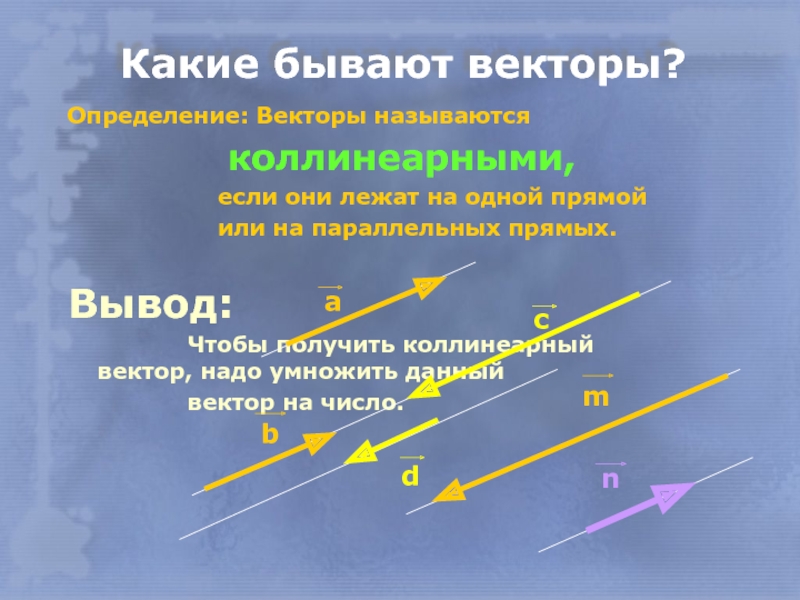 Векторы лежащие на одной прямой коллинеарны. Какие бывают векторы. Коллинеарные векторы бывают. Какие бывают коллинеарные векторы. Какие бывают вектора в геометрии.