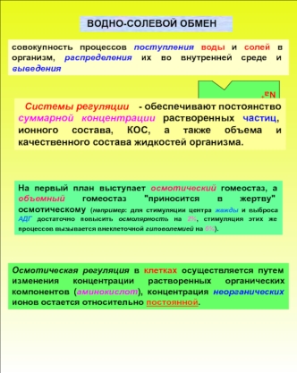 Водно-солевой обмен