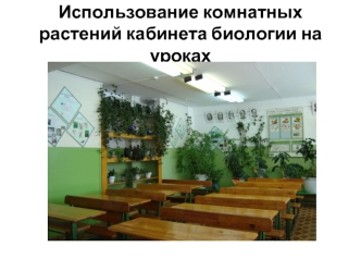 Использование комнатных растений кабинета биологии на уроках
