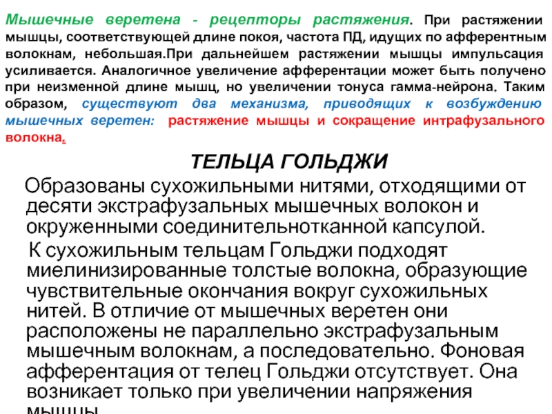 Рецепторы растяжения легких это. Рецепторы растяжения мышцы. Механизм возбуждения мышечных веретен. Рецепторами растяжения мышц являются. Значимость рецепторов растяжения мышечных веретен.