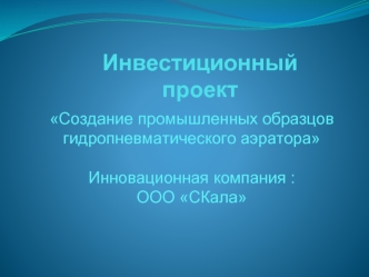 Инвестиционный проект