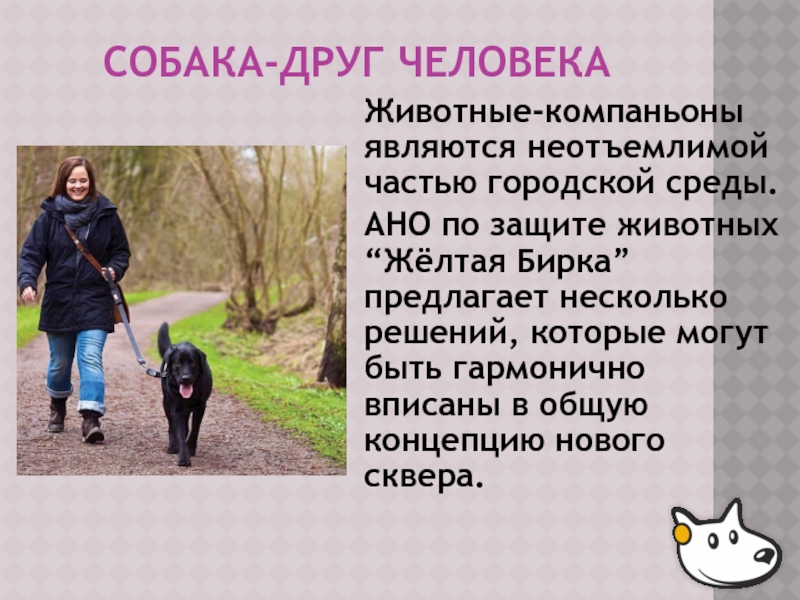 Неотъемлимой. АНО «желтая бирка». Проектно-Исследвательская работа "собака =друг человека". Как найти информацию о собаке по желтой бирке.