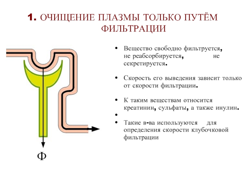 Клубочковая фильтрация это