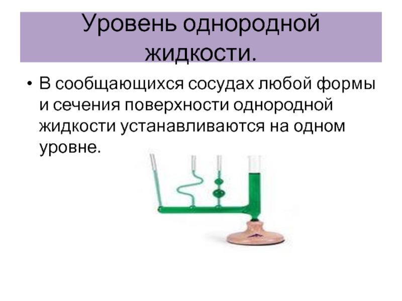 Как располагаются однородные жидкости. Сообщающиеся сосуды. Однородная жидкость. В сообщающихся сосудах любой формы и сечения поверхности. Сообщающиеся сосуды презентация.