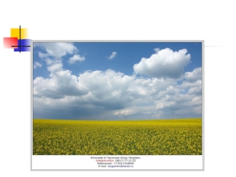 Традиции и новаторство в творчестве кубанских иконописцев.  Камень вечен … Краски не смешиваются, Цвета даны творцом. Отец Георгий (Иващенко). Интегрированный.