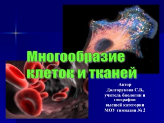 Многообразие
клеток и тканей