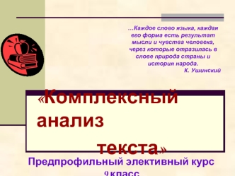 Комплексный анализ 
              текста
