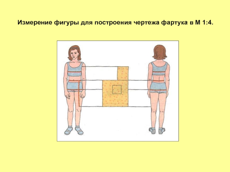 При построении чертежа фартука необходимы мерки