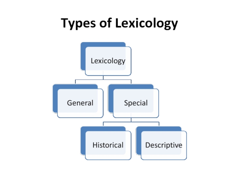 Booking types. General Lexicology and Special Lexicology. System in Lexicology. Concept in Lexicology. Composition in Lexicology.