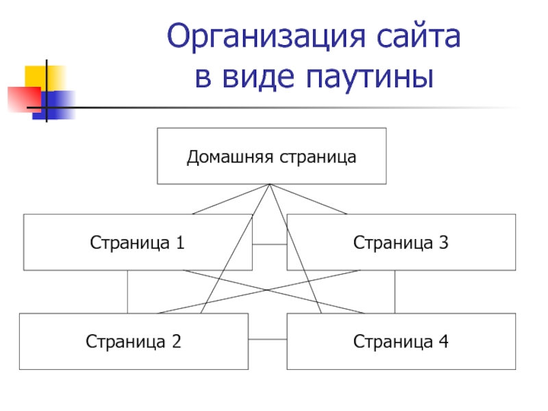 12 организация. Типы паутинно образных моделей.