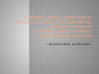 Муниципальное дошкольное образовательное учреждение №2  Красносельского муниципального района Костромской области