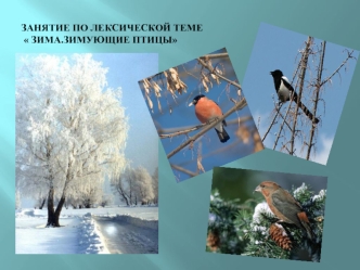ЗАНЯТИЕ ПО ЛЕКСИЧЕСКОЙ ТЕМЕ  ЗИМА.ЗИМУЮЩИЕ ПТИЦЫ