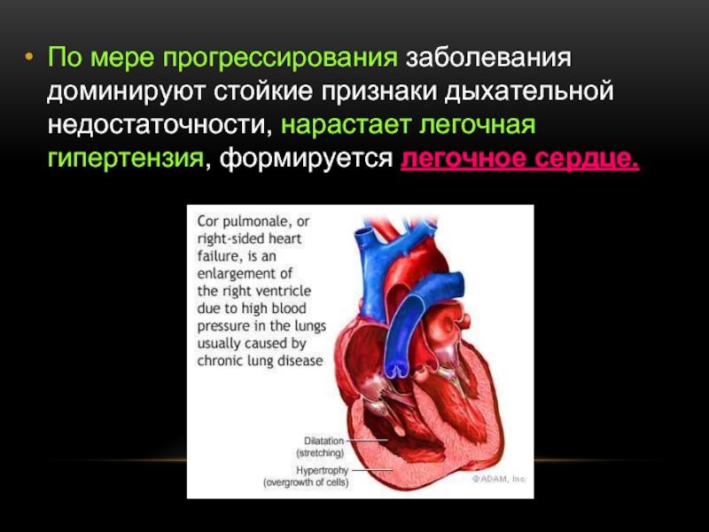 Сердечно-легочная недостаточность. Легочная недостаточность. Сердечно-легочная недостаточность симптомы.