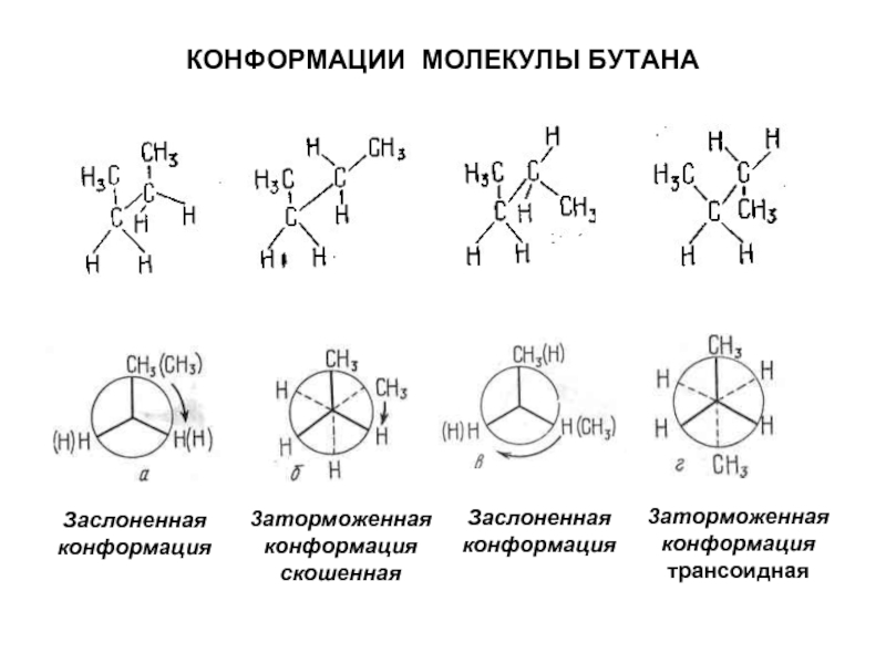 Изомер бутана формула. 2-Аминоэтантиола конформации. Конформация Ньюмена для бутана. Изомеры бутана конформации. Антиконформацмя 3 аминопропановой кислоты.