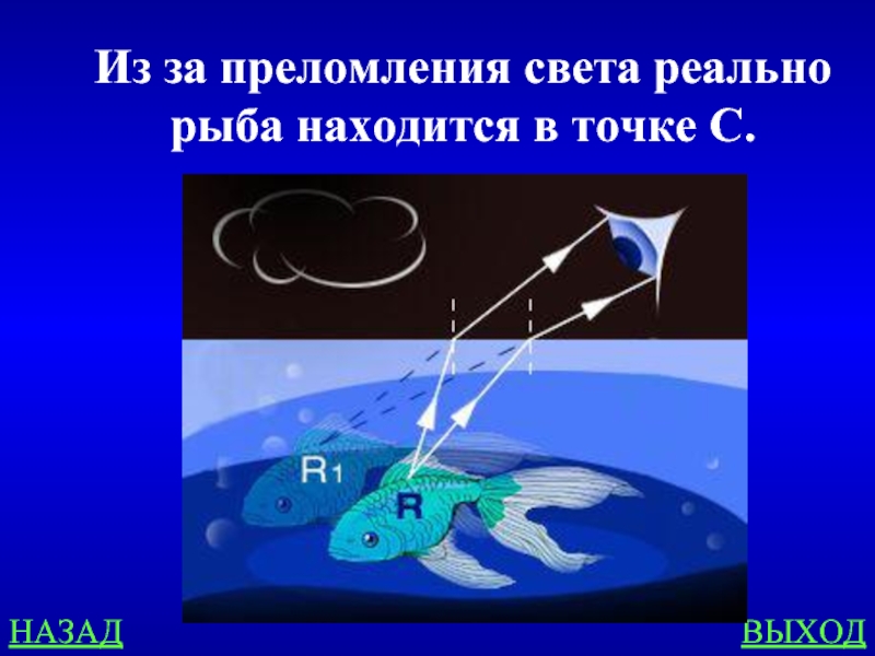 Рыбка в озере находится в точке s в каком примерно направлении видит изображение