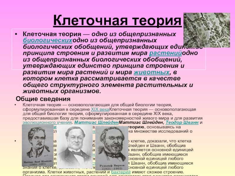 История клеточной теории. Основные постулаты клеточной теории сформулировали. Теория для презентации. Первая клеточная теория была сформулирована. Клеточная теория единство живой природы.