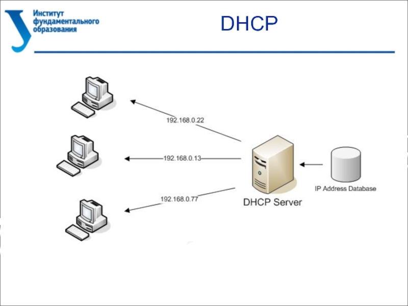 D h c. DHCP что это простыми словами. DHCP giaddr. Области в DHCP. Тип соединения DHCP.