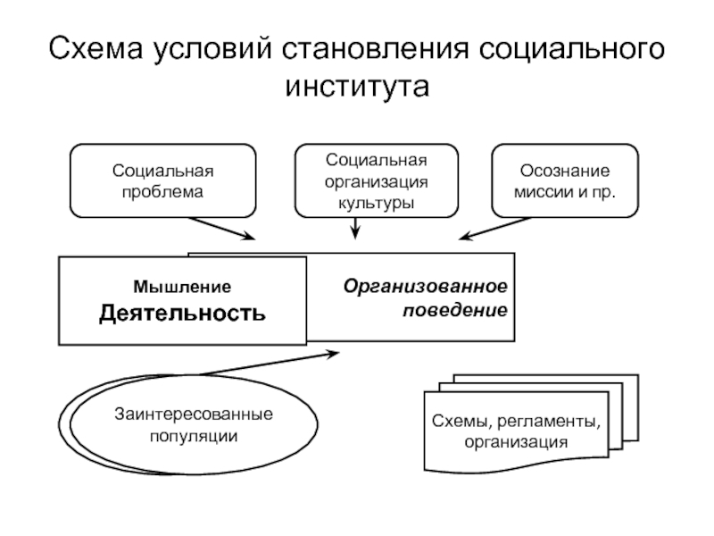 Схема социальные науки