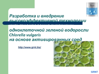 Разработка и внедрение высокоэффективной технологии культивирования суспензии одноклеточной зеленой водоросли Chlorella vulgaris на основе активированных сред