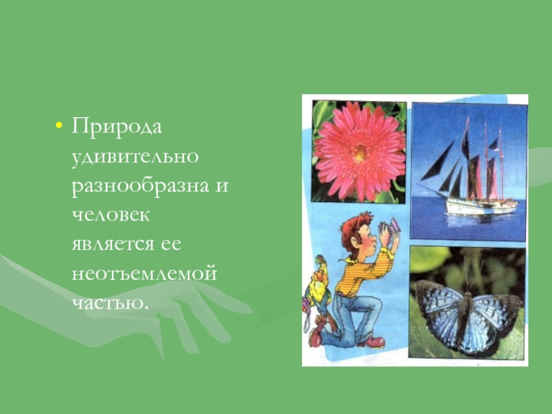 Будь природе другом. Будь природе другом сообщение. Будь природе другом книга. Красная книга. Будь природе другом.. Красная книга как стать природе другом.