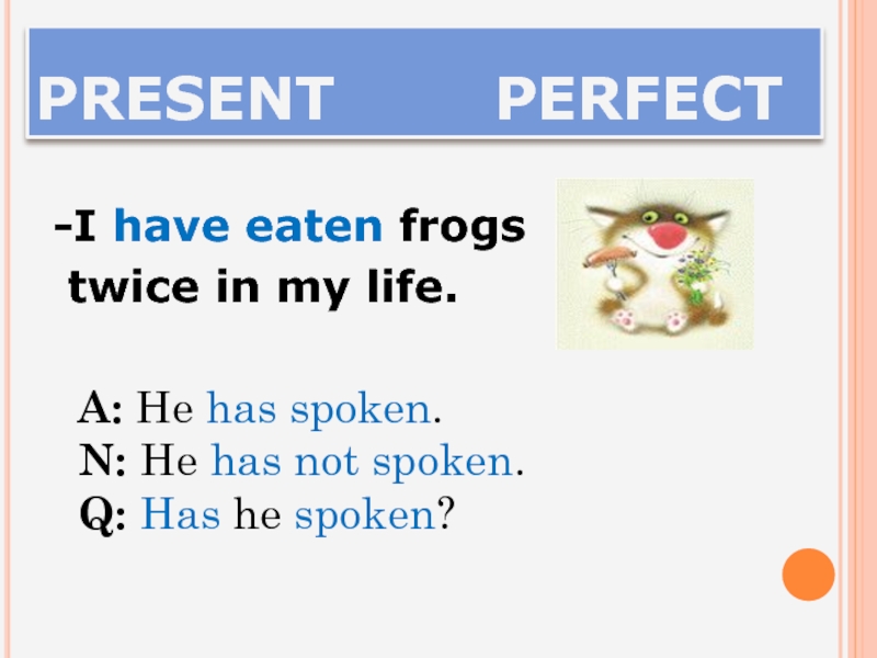 Have you eaten. Present perfect смешно. Present perfect с котом. Had eaten какое время. Have you ever eaten Frogs.