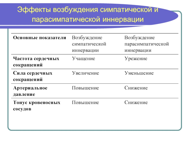 Действие возбуждения. Основные эффекты возбуждения симпатической и парасимпатической. Эффекты симпатической иннервации. Схема симпатической и парасимпатической иннервации. Симпатическая и парасимпатическая иннервация.