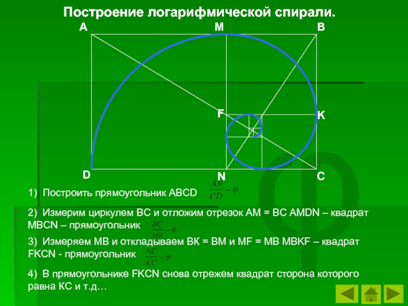 Логарифмическая спираль проект