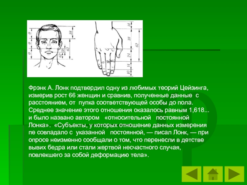 Измерив рост 12 футболистов. Золотое сечение лица. Цейзинг закон углов. Метод Цейзинга стоматология. Как измерить сантиметровой лентой размер головы.