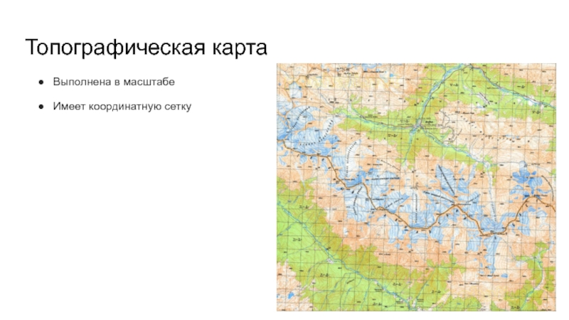 Карта выполнена. Координатная сетка на топографических картах. Карта России с топографической сеткой. Координатные сетки на топографических картах презентация. Карта Украины с координатной сеткой.