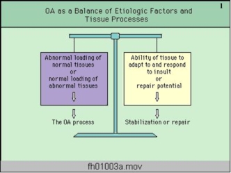 OA as a Balance of Etiologic Factors and Tissue Processes