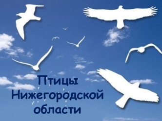 Птицы Нижегородской области