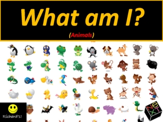 What am I? (Animals)