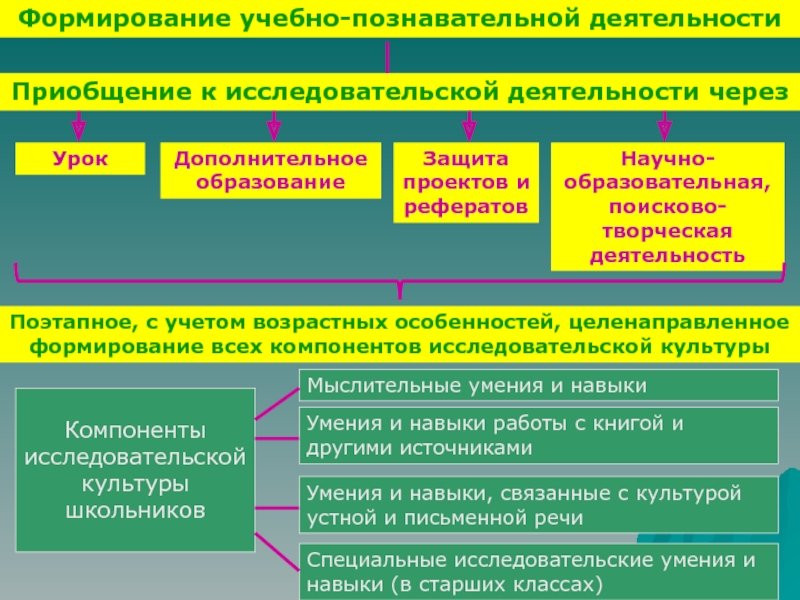 Развитие образовательного процесса. Соотношение научной и учебной деятельности. Учебно-познавательная деятельность. Соотношение научной и учебной познавательной деятельности. Цель учебно познавательной деятельности.