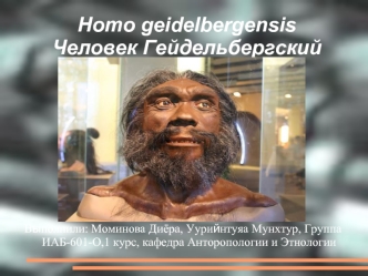 Homo geidelbergensis. Человек Гейдельбергский