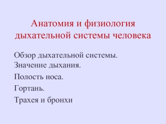 Дыхательная система человека. Значение дыхания. Полость носа. Гортань. Трахея и бронхи