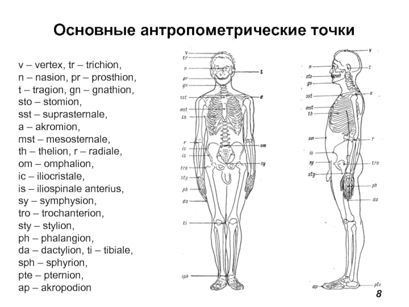 Определенные точки тела точки. Антропометрические точки человека. Основные антропометрические точки тела человека. Антропометрические точки на туловище. 3. Назовите основные антропометрические точки тела..