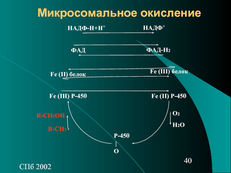 Схема микросомального окисления биохимия