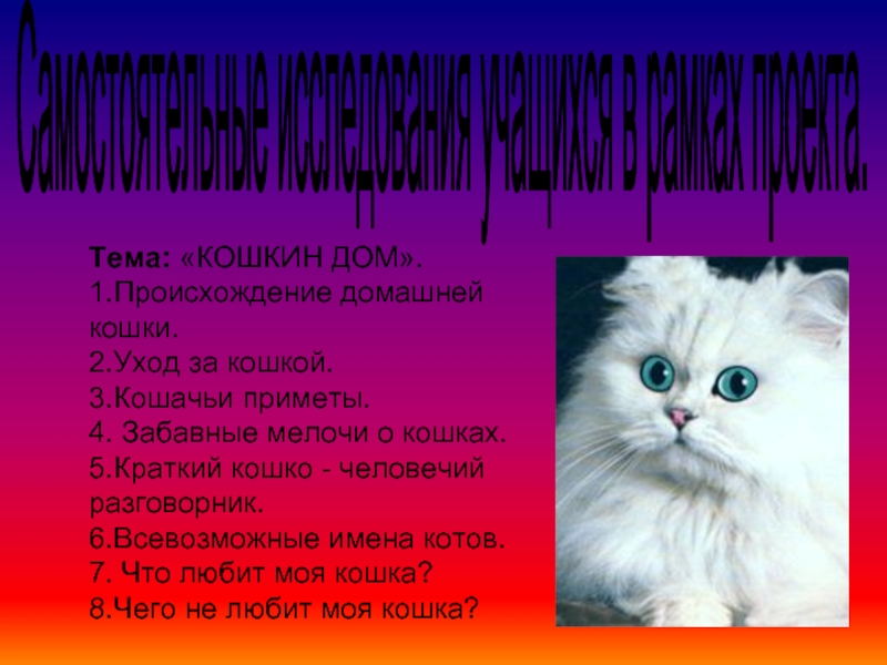 План рассказа о домашнем питомце 2. Проект на тему домашняя кошка. Проектная работа про кошек. Сочинение про кошку. Исследовательский проект на тему кошки.