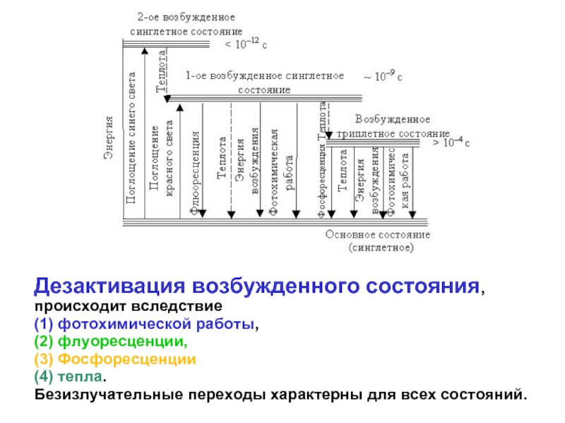 Состояние возбуждения. Синглетное и триплетное состояние. Основное синглетное состояние. Синглетное и триплетное возбужденные состояния. Триплетное возбужденное состояние.