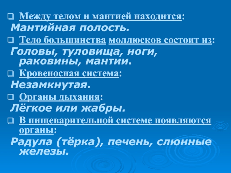 Мантийная полость что понимают под этим термином. Мантийная полость. Мантия и мантийная полость.