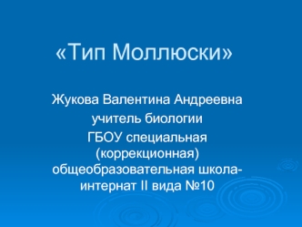 Тип Моллюски