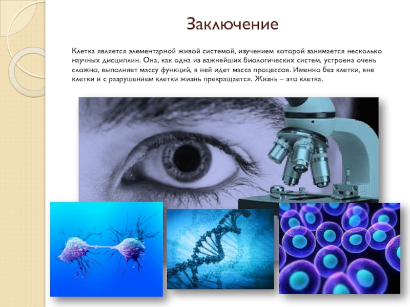 Элементарной живой. Живые системы биология. Элементарной живой системой является. Сложные системы биология. Клетка является системой.