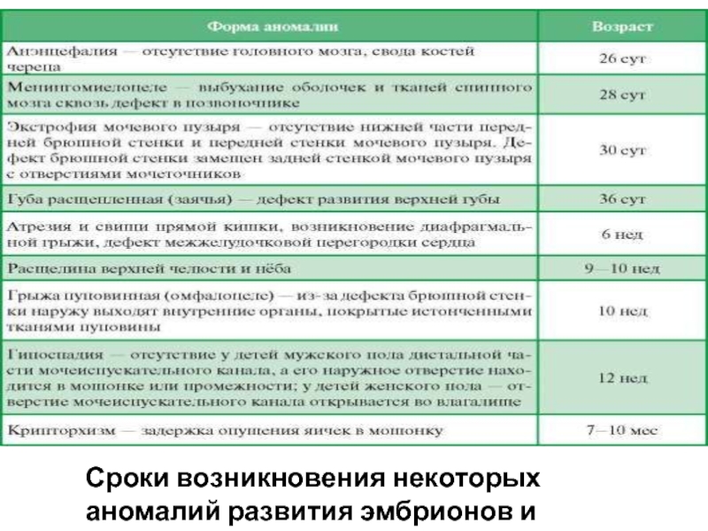 Роды биология. Периоды развития эмбриона и плода таблица. Таблица внутриутробное развитие плода. Сроки возникновения некоторых аномалий развития. Краткий календарь внутриутробного развития человека.