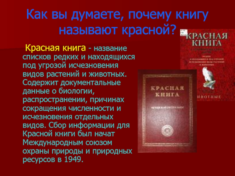 Какого человека называют красным. Красная книга. Как называется красная книга. История красной книги. История создания красной книги.