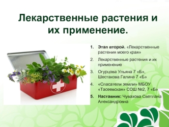 Лекарственные травы и их применение
