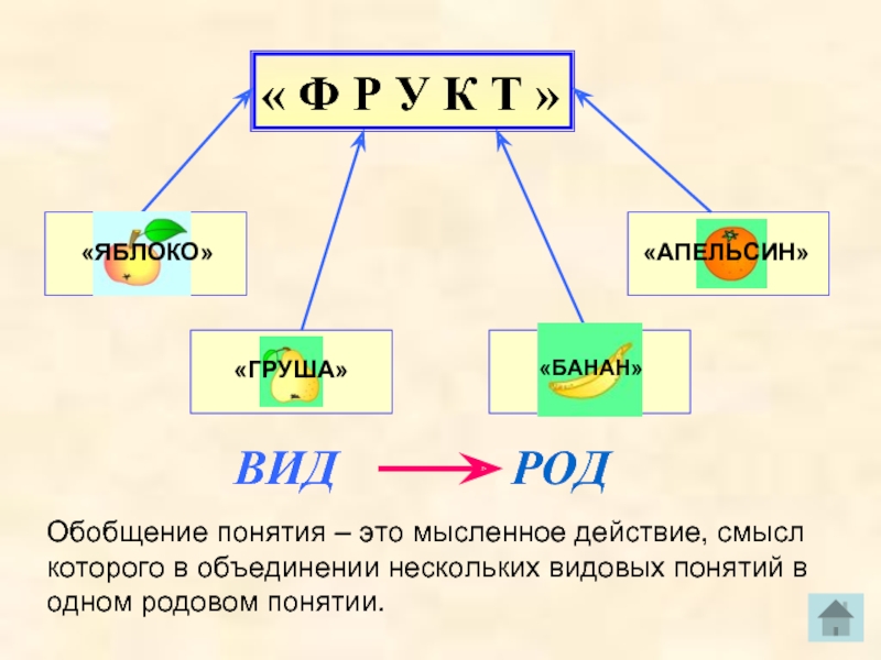 Виды обобщения