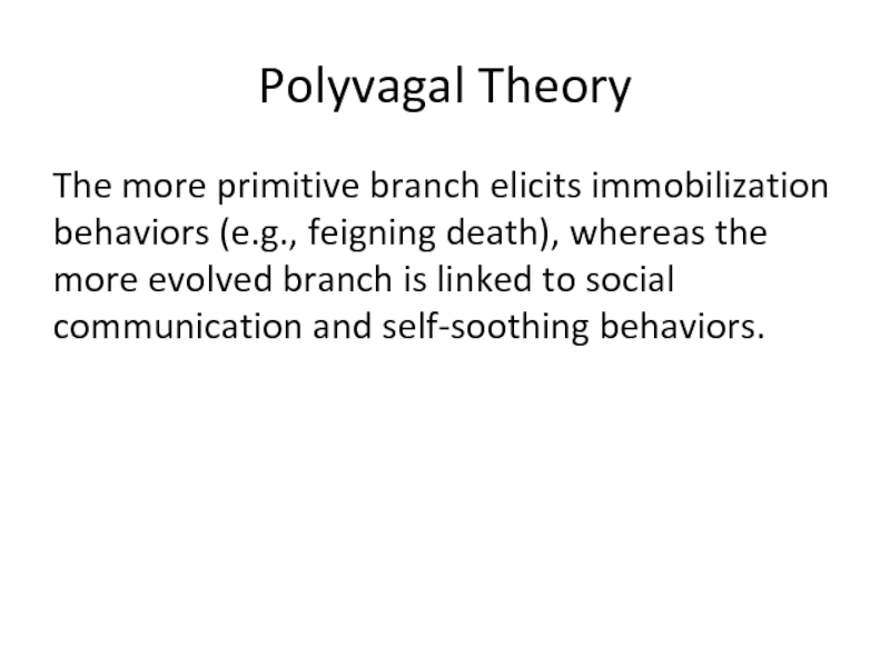 Polyvagal TheoryThe more primitive branch elicits immobilization behaviors (e.g., feigning death),