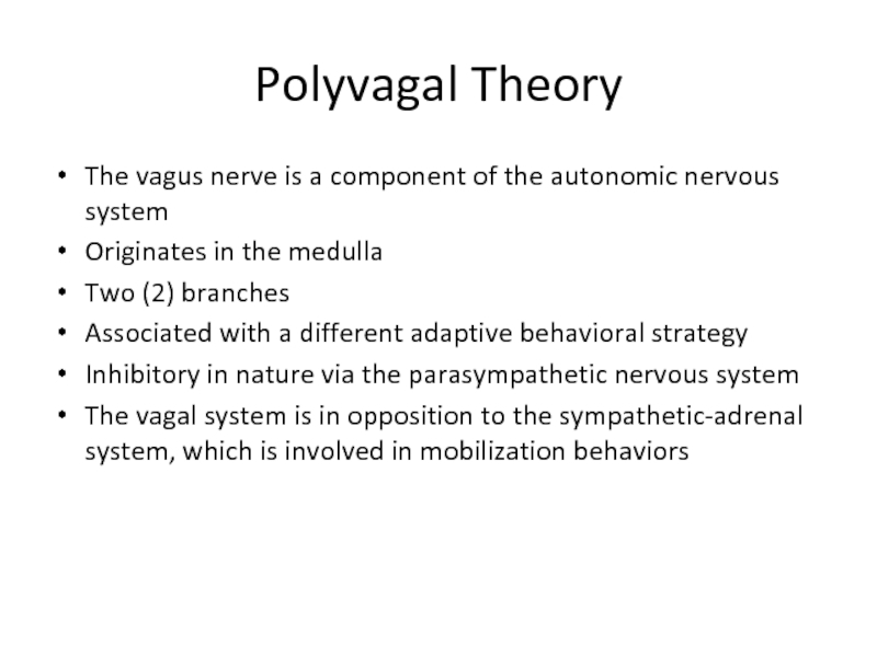 Polyvagal TheoryThe vagus nerve is a component of the autonomic nervous