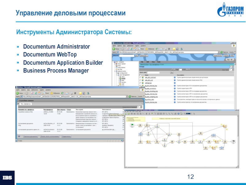 Администратор проектов ibs